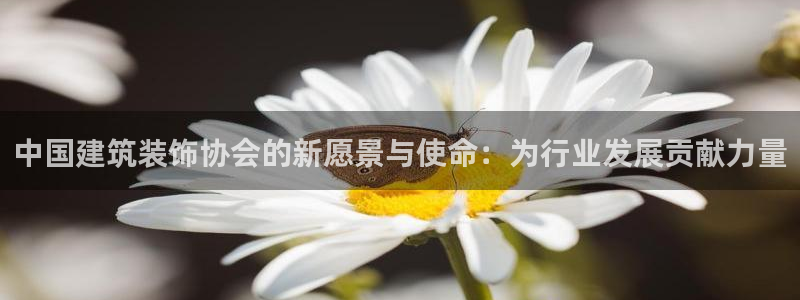顺盈娱乐2