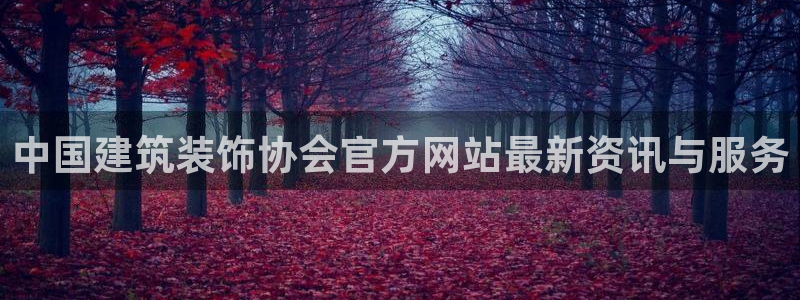 顺盈娱乐28是什么?