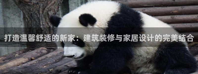 顺盈娱乐网