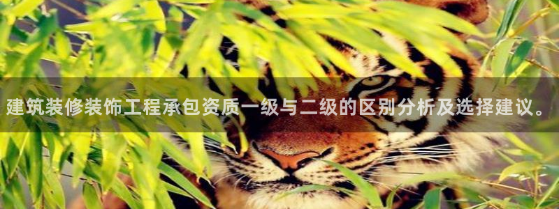 顺盈百威美食娱乐广场