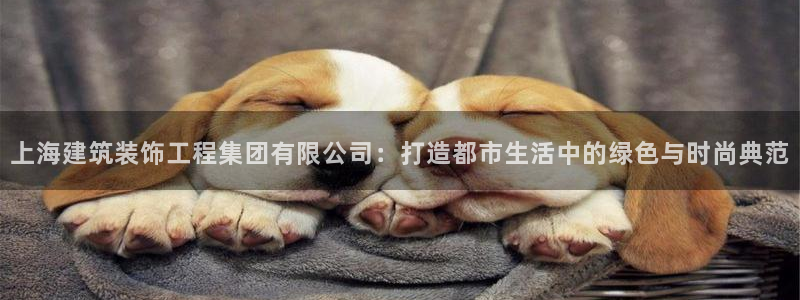 顺盈娱乐找527b.cn升哥