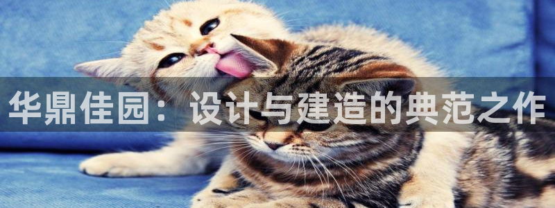 盈顺棋牌娱乐室