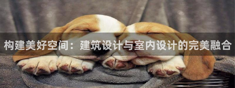 顺盈2娱乐主管是谁