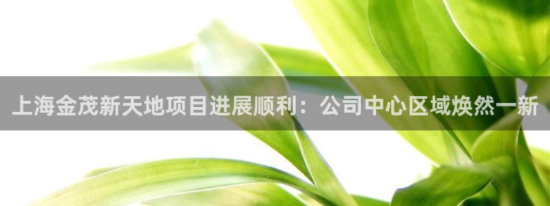 顺盈娱乐是什么意思