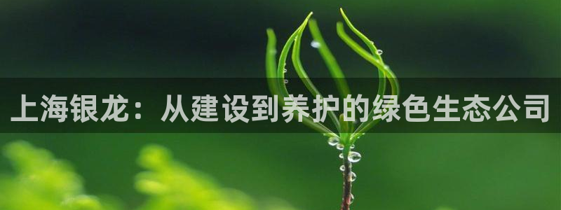 顺盈娱乐平台怎么样