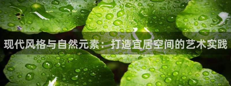 盈顺棋牌娱乐室电话地址