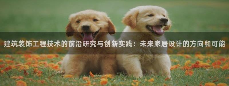 顺盈娱乐形究7276O