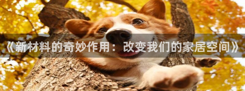 顺盈娱乐棋牌