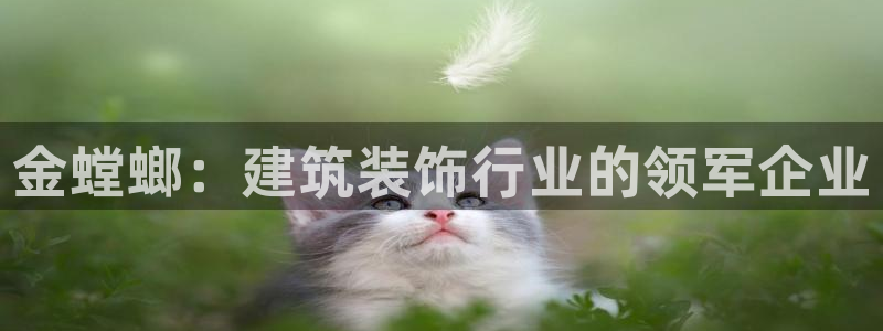 顺盈娱乐登录地址在哪儿