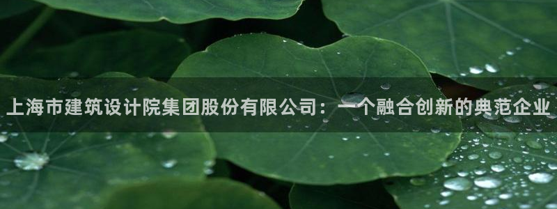 乐摇摇娱乐团购顺盈