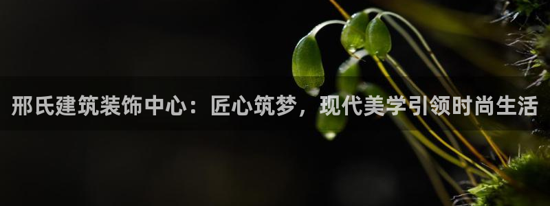 清远顺盈游戏娱乐