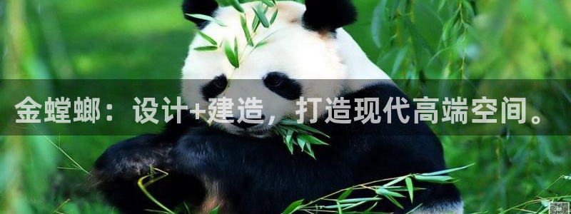 清远顺盈娱乐公司招聘吗
