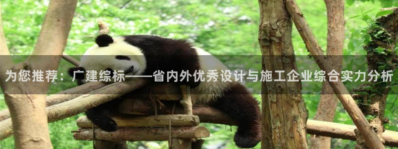 顺盈娱乐平台会黑人吗