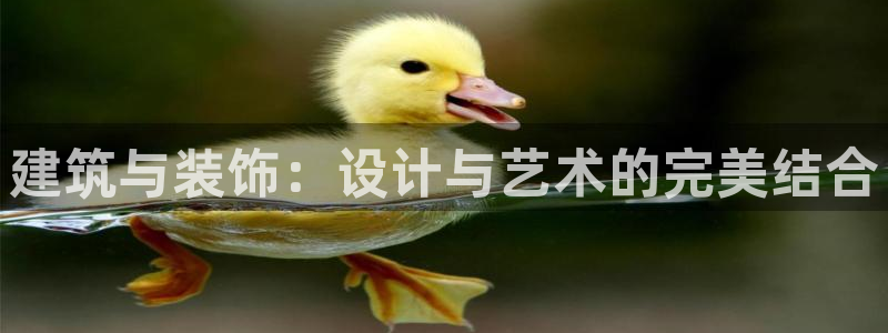 顺盈娱乐网址