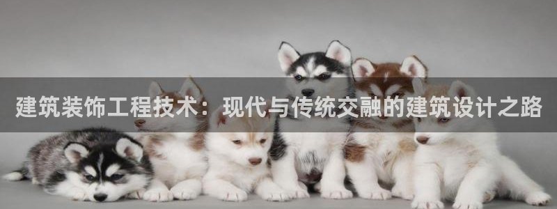 乐摇摇娱乐团购顺盈