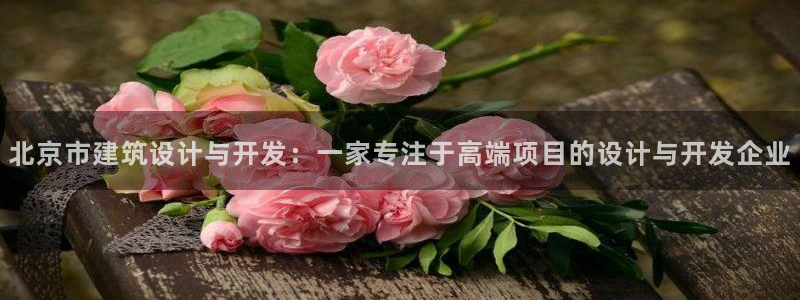 顺盈娱乐招商下原判官333OO