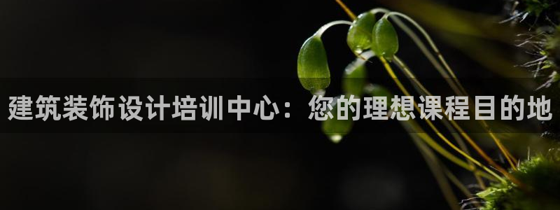 顺盈娱乐主管
