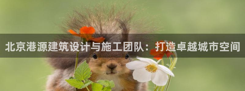 顺盈娱乐官网下载