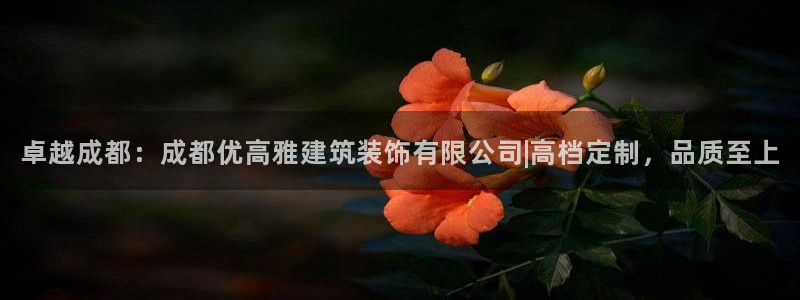顺盈娱乐主管是谁