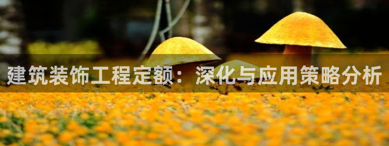 顺盈2娱乐平台注册