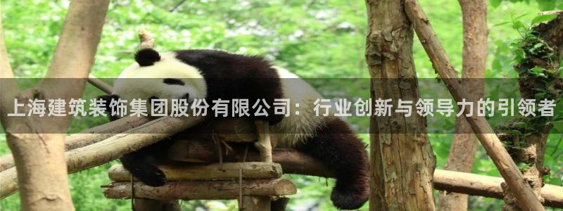 顺盈娱乐322901