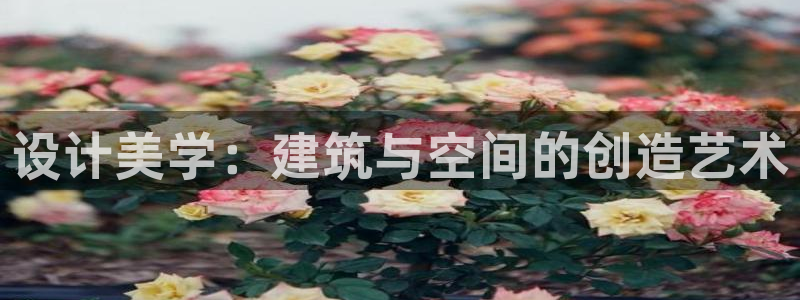 顺盈娱乐注册平台怎么样