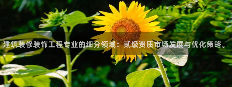 盈顺休闲娱乐室团购