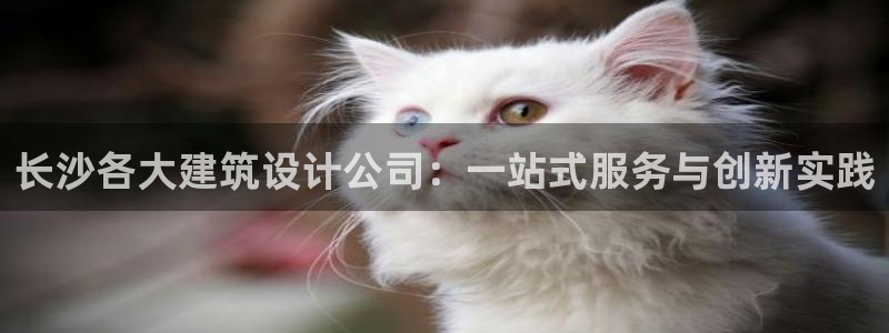 盈顺棋牌娱乐室怎么样啊