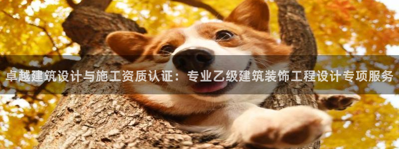 顺盈娱乐28是什么意思