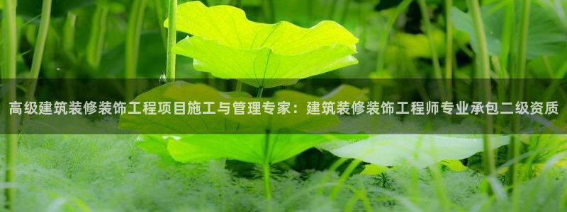 顺盈娱乐福彩