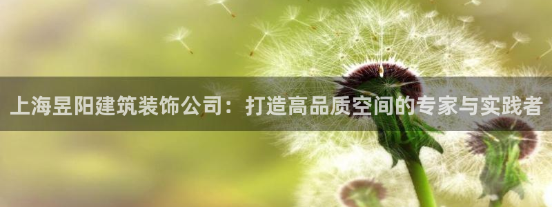 顺盈时代广场娱乐项目