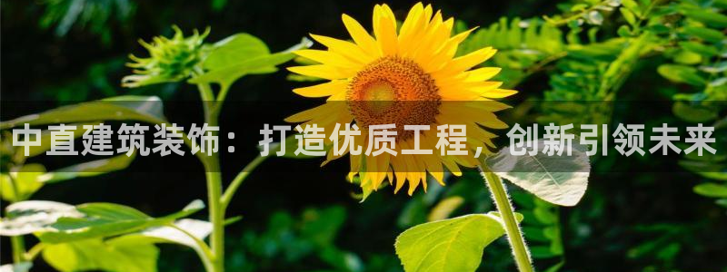 清城区顺盈娱乐会所地址