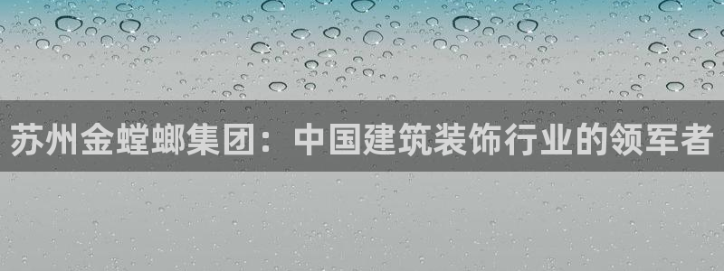 顺盈娱乐官网