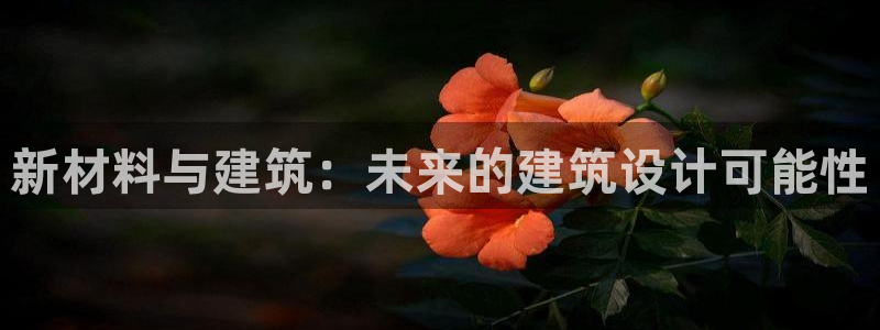 三水区顺盈棋牌娱乐