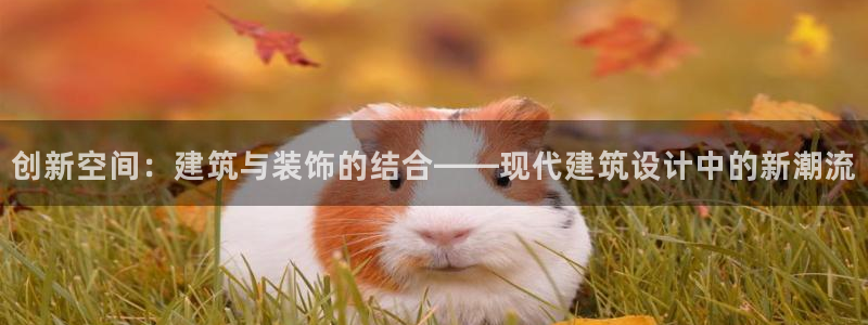 顺盈娱乐平台官网