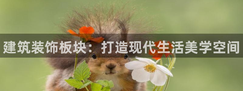 顺盈娱乐团购