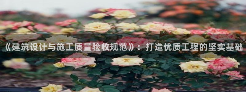 顺盈娱乐平台官网下载