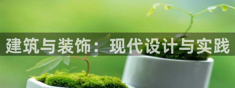 顺盈娱乐铜333OO