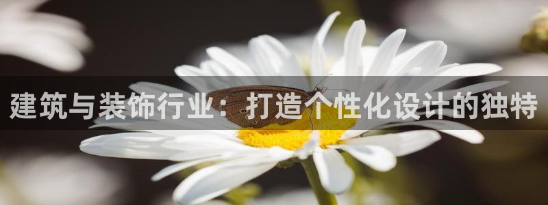 顺盈娱乐下载最新版