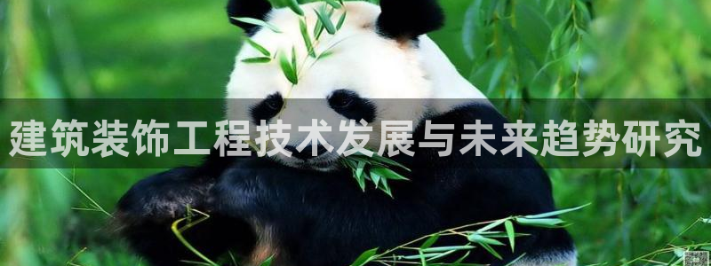 顺盈娱乐队究7276O