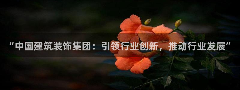 顺盈娱乐棋牌怎么样