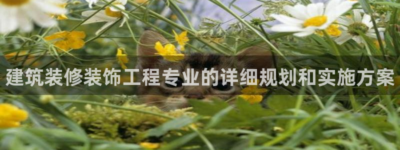 顺盈娱乐登录地址在哪看