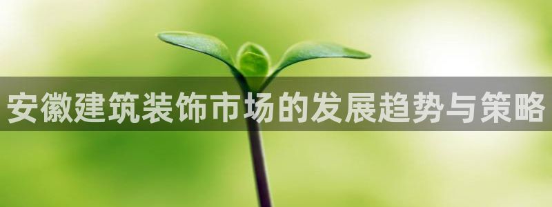 顺盈娱乐代理怎么样做