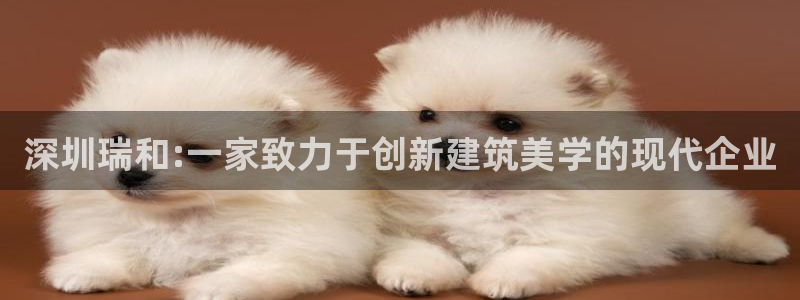 顺盈娱乐在线教育