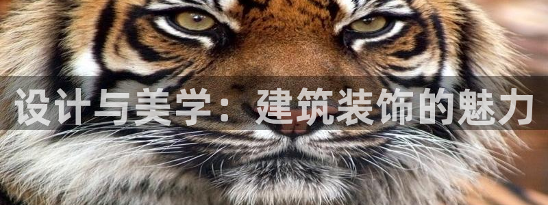 顺盈娱乐棋牌官网