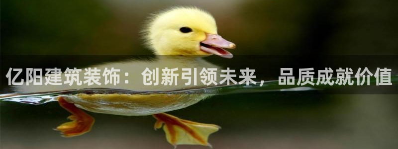 顺盈娱乐平台注册地址