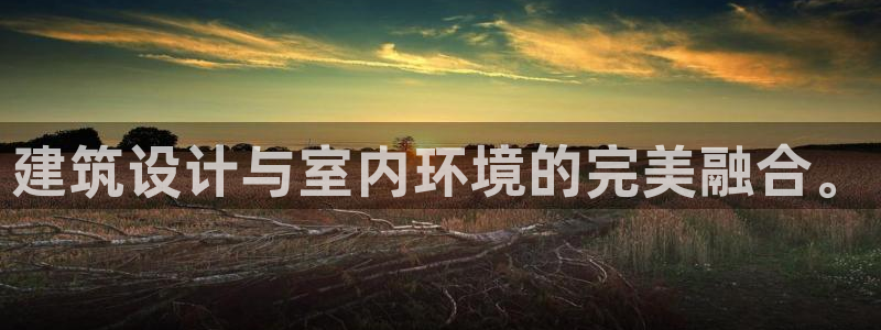 顺盈娱乐在线开户流程图