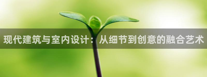 清远顺盈娱乐怎么样