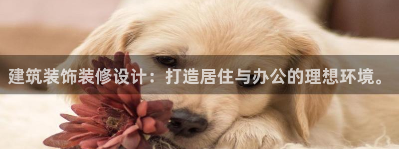 顺盈娱乐平台官网下载