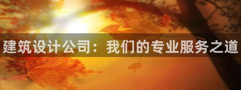 顺盈娱乐在线开户流程图